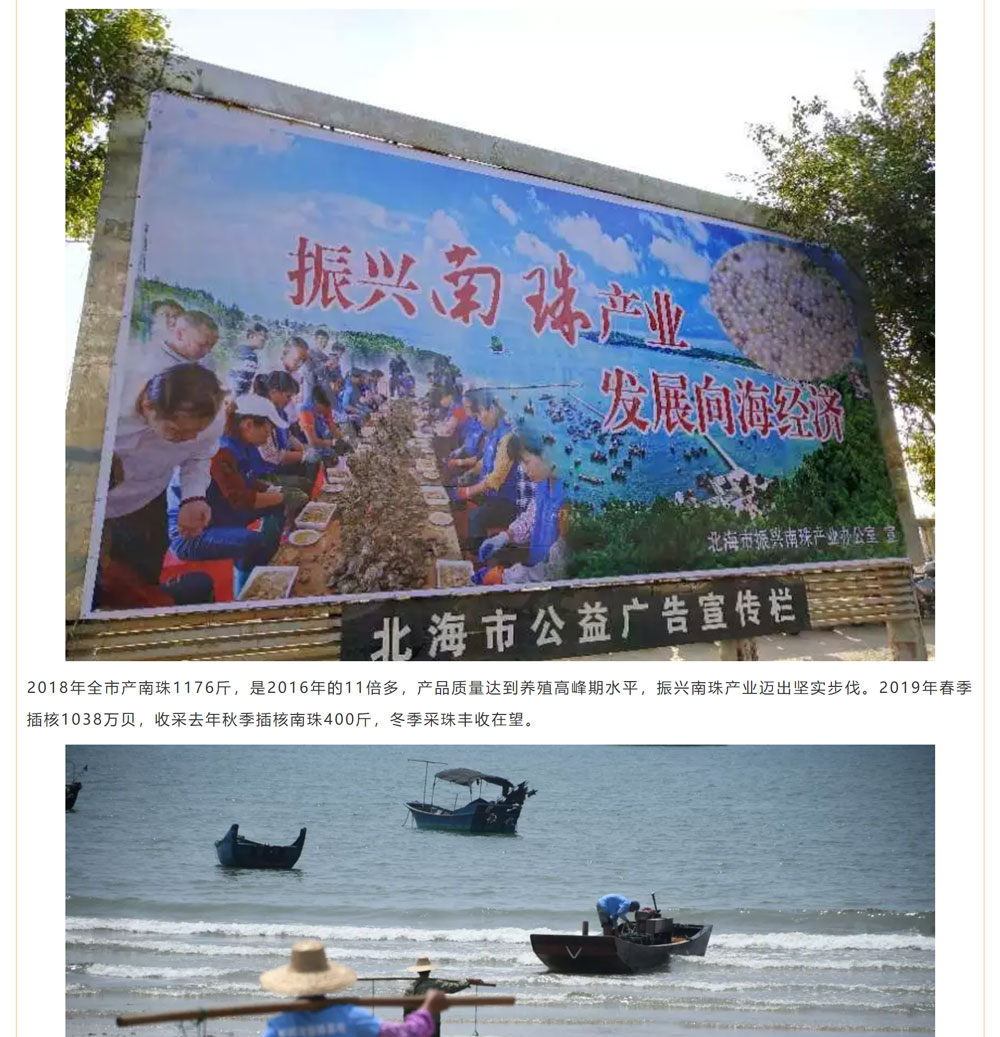 古老南珠，綻放異彩